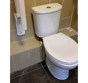 toilet and tiles